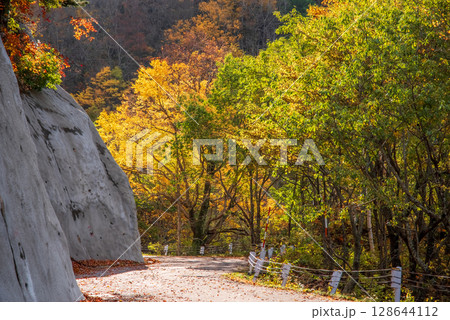 上高地乗鞍スーパー林道の紅葉 128644112