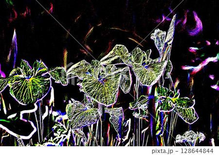 はなしょうぶ　＜加工＞ 128644844