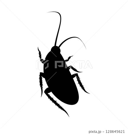 Cockroach logo. Isolated cockroach on white background 128645621