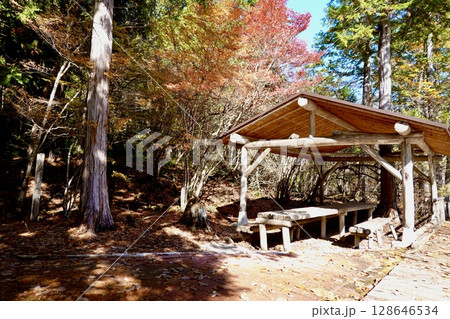 赤沢自然休養林のふれあいの道の傍に東屋がある風景　長野県木曽郡上松町 128646534