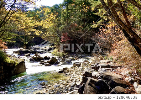 赤沢自然休養林のふれあいの道から見た河原の風景　長野県木曽郡上松町 128646538