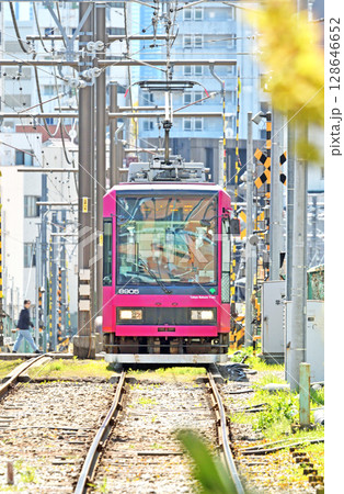 都電荒川線 (東京さくらトラム)　8900形 (8905) 128646652