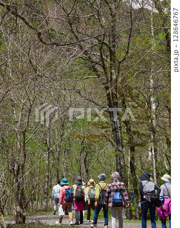 初夏の観光名所上高地の森の散策道でハイキングするシニア女性たちの姿 初夏の観光名所上高地の森の散策道でハイキングするシニア女性たちの姿 128646767