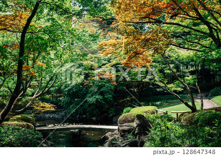Summer of Otaguro Park in Tokyo, Japan 128647348