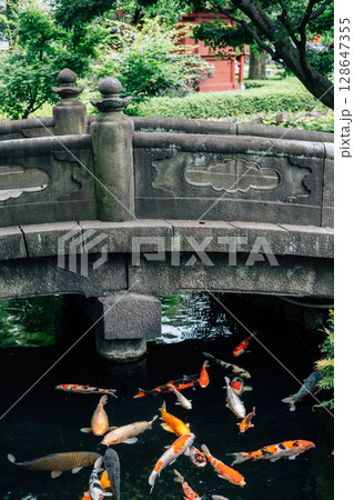 Asakusa Senso-ji Temple garden pond in Tokyo, Japan 128647355
