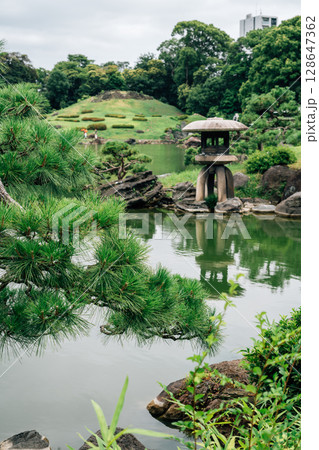 Summer of Kiyosumi Garden in Tokyo, Japan 128647362