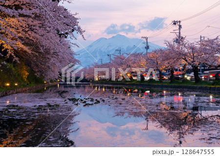 青森県弘前市下白銀町弘前公園　花筏が浮かぶ弘前城外濠の満開のソメイヨシノ桜並木と岩木山夕景 128647555