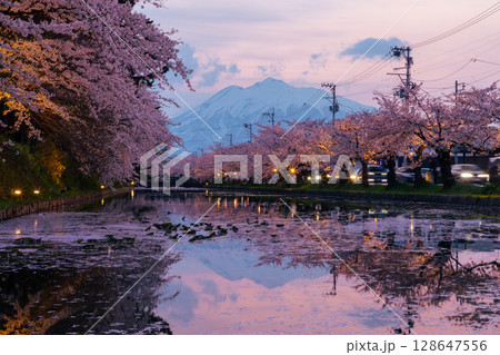 青森県弘前市下白銀町弘前公園　花筏が浮かぶ弘前城外濠の満開のソメイヨシノ桜並木と岩木山夕景 128647556