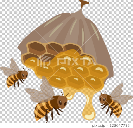 Beehive and bees Beehive and bees 128647753