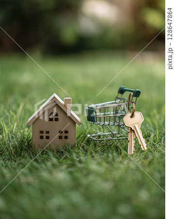 Small wooden house model and miniature shopping cart with keys are placed on green grass, symbolizing real estate, home ownership, or property purchase in outdoor setting 128647864