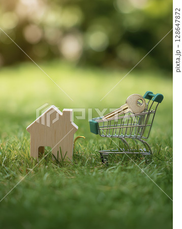 Small wooden house with green shopping cart and key, symbolizing real estate or home ownership, placed lush green grass with blurred natural background. scene evokes themes of property, housing 128647872