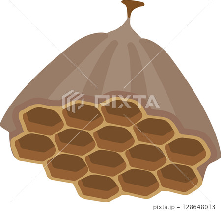 ハチの巣 128648013