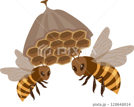 ハチの巣とハチ 128648014
