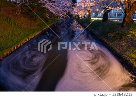 青森県弘前市下白銀町弘前公園 弘前城外濠のさくらの花筏の流れと満開のソメイヨシノ桜並木ライトアップ 青森県弘前市下白銀町弘前公園 弘前城外濠のさくらの花筏の流れと満開のソメイヨシノ桜並木ライトアップ 128648212