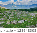 夏の五色ヶ原　富山県 立山連峰 128648303