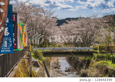 森町の遠江国一宮小國神社の桜の風景(静岡県) 128648399