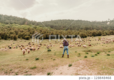 A man in a cowboy hat stands in a field with a herd of sheep 128648468