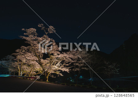 浜松市の秋葉ダムの千本桜の風景(静岡県) 128648565