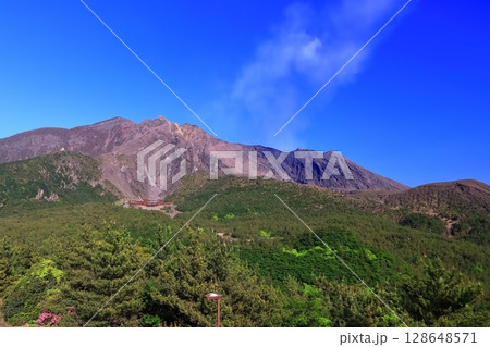 【鹿児島県】晴天の湯之平展望所から見た桜島の噴火口 128648571