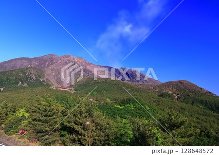 【鹿児島県】晴天の湯之平展望所から見た桜島の噴火口 【鹿児島県】晴天の湯之平展望所から見た桜島の噴火口 128648572