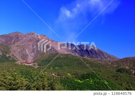 【鹿児島県】晴天の湯之平展望所から見た桜島の噴火口 128648576