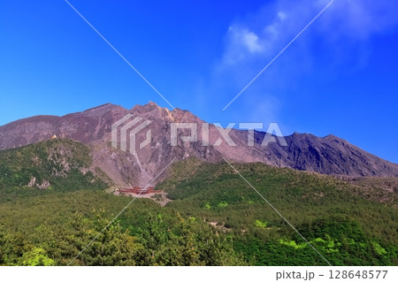 【鹿児島県】晴天の湯之平展望所から見た桜島の噴火口 【鹿児島県】晴天の湯之平展望所から見た桜島の噴火口 128648577