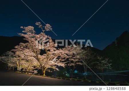 浜松市の秋葉ダムの千本桜の風景(静岡県) 浜松市の秋葉ダムの千本桜の風景(静岡県) 128648588