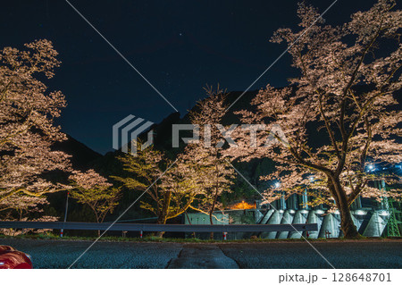浜松市のライトアップされた秋葉ダムと夜桜(静岡県) 128648701