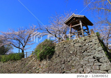 春の日出城址(大分県日出町) 春の日出城址(大分県日出町) 128649032