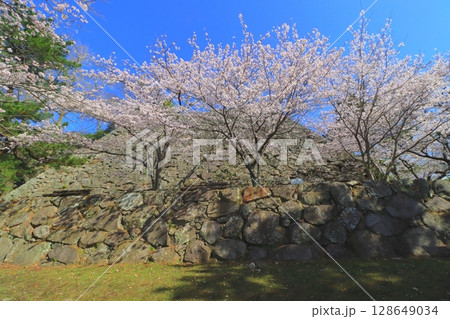 春の日出城址(大分県日出町) 春の日出城址(大分県日出町) 128649034