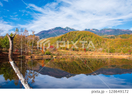 【秋の乗鞍高原】「まいめの池」の紅葉 【秋の乗鞍高原】「まいめの池」の紅葉 128649172