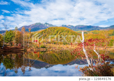 【秋の乗鞍高原】「まいめの池」の紅葉 128649176