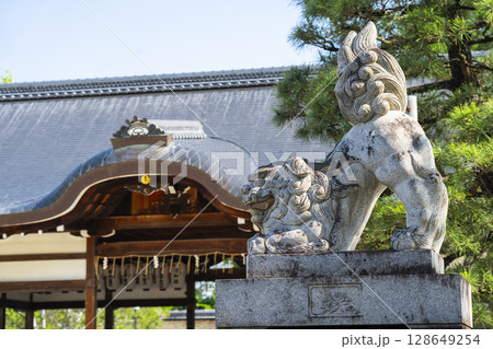 夏の京都　藤森神社　拝殿と狛犬 128649254