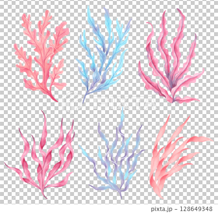 Set of colorful seaweeds. Watercolor illustration. Oceanic botanical underwater algae. Hand drawn isolated art. Natural form of marine flora. Clip art of plants for travel, tourism, children's design 128649348