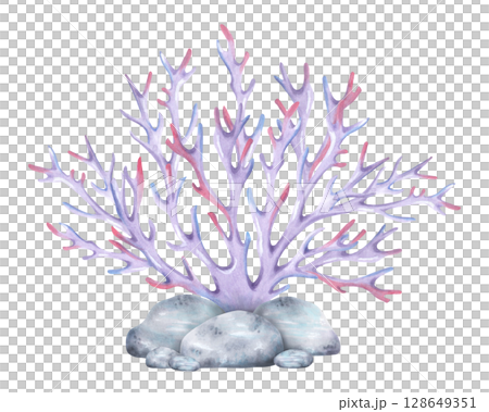 Branched coral with sea stones. Watercolor and marker illustrations. Composition with underwater animal and pebbles. Hand-painted isolated art. Suitable for of marine themes and design, guidebooks 128649351