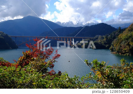 宮ケ瀬湖の秋 【相模原市津久井 11月】 宮ケ瀬湖の秋 【相模原市津久井 11月】 128650409