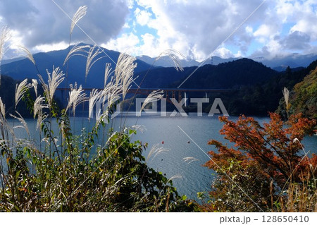ススキの穂がなびく宮ケ瀬湖 【相模原市津久井 11月】 ススキの穂がなびく宮ケ瀬湖 【相模原市津久井 11月】 128650410