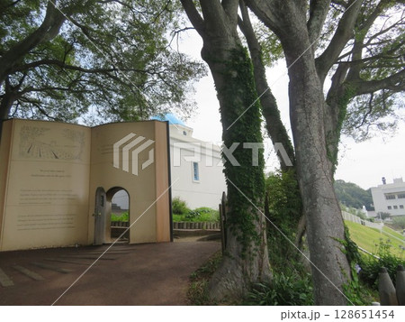 小豆島　オリーブ公園　始まりの本 128651454