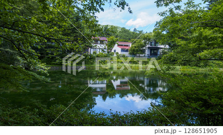 旧軽井沢の雲場池の夏 128651905