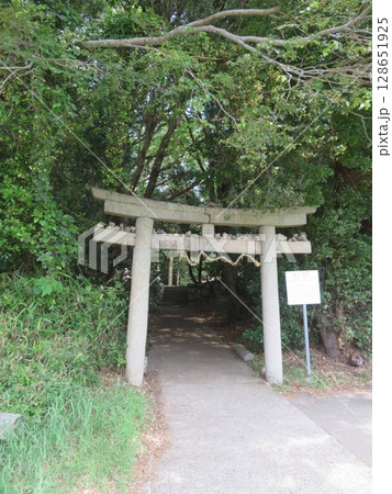 小豆島　オリーブ公園　水木の荒神社 128651925