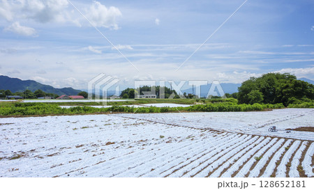 しなの鉄道沿線の御代田町の田圃・畑 しなの鉄道沿線の御代田町の田圃・畑 128652181