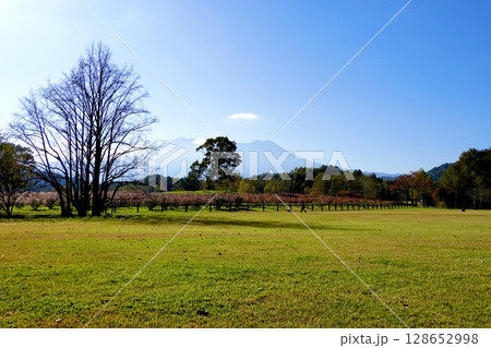 開田高原　木曽馬の里から御嶽山を見た風景　長野県木曽郡木曽町 128652998