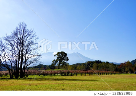 開田高原　木曽馬の里から御嶽山を見た風景　長野県木曽郡木曽町 128652999