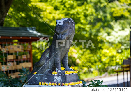 埼玉県所沢市　多聞院　狛犬 128653192