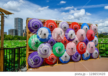 東京都 上野公園 不忍池 蓮の花 東京都 上野公園 不忍池 蓮の花 128653420