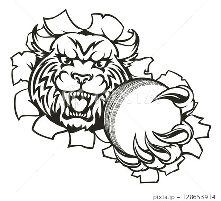 Wildcat Holding Cricket Ball Breaking Background 128653914