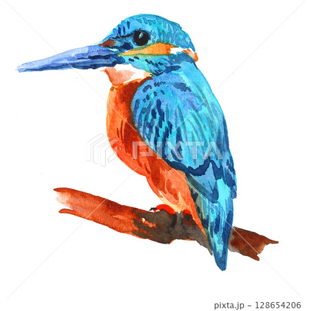 水彩で描いたカワセミ25720pix7のイラスト素材 [128654206] - PIXTA