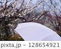 梅 128654921
