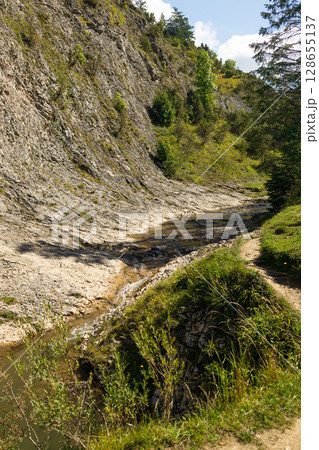Mountain Stream Winding Through Rocky Forest Landscape 128655137