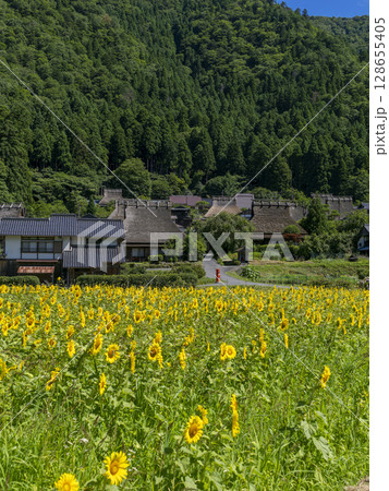 満開のヒマワリが咲く夏の美山かやぶきの里 128655405